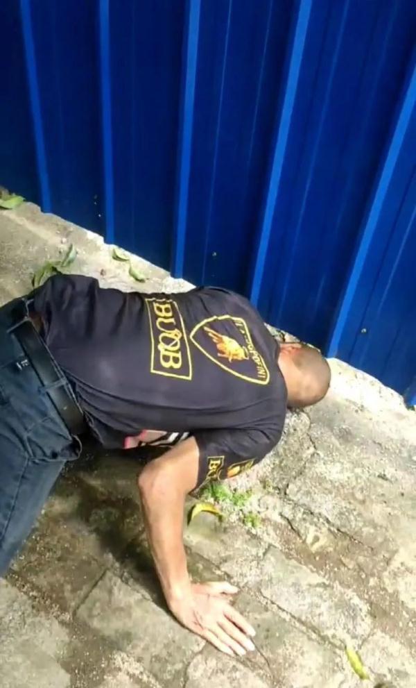 路边的芒果真的不要摘！不信你看……