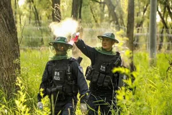 这里的蚊子有多毒？连警犬都扛不住了！