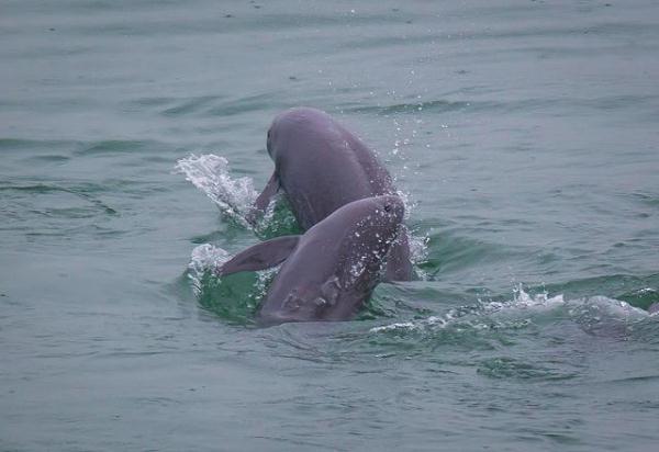 传奇！25岁+的他“四世同堂”