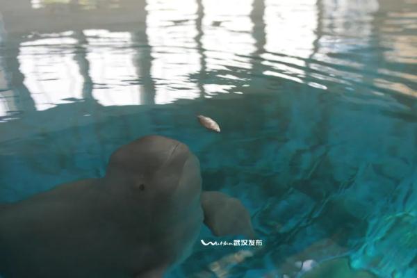 传奇！25岁+的他“四世同堂”