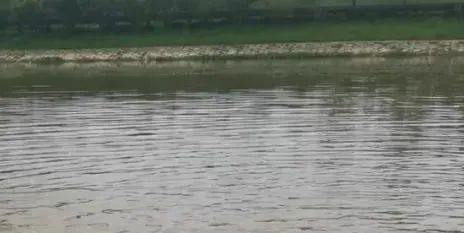 痛心!10岁男孩下水后不幸溺亡 痛心!10岁男孩下水后不幸溺亡