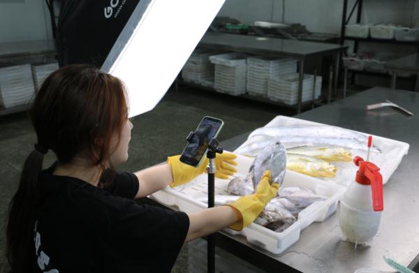 浙江舟山:渔业发展有了“数字引擎” 浙江舟山:渔业发展有了“数字引擎”