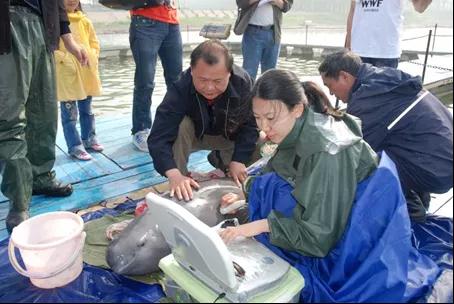 传奇！25岁+的他“四世同堂”
