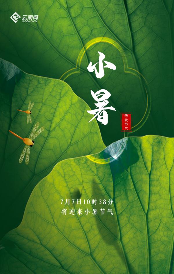 今日10时38分，小暑节气来了！