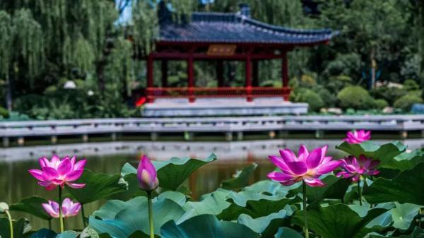 花样百出！解锁唐“潮”人避暑攻略