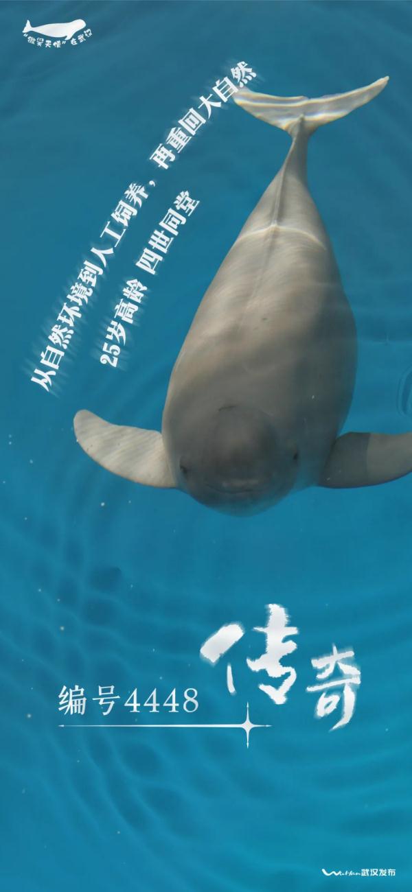 传奇！25岁+的他“四世同堂”