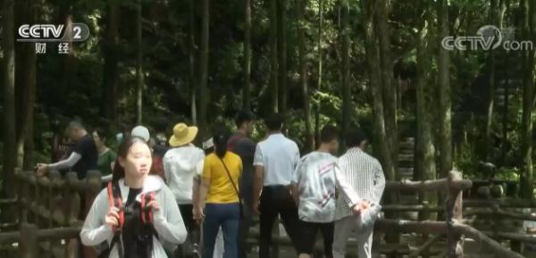 湖南张家界：优惠政策促暑期旅游火爆