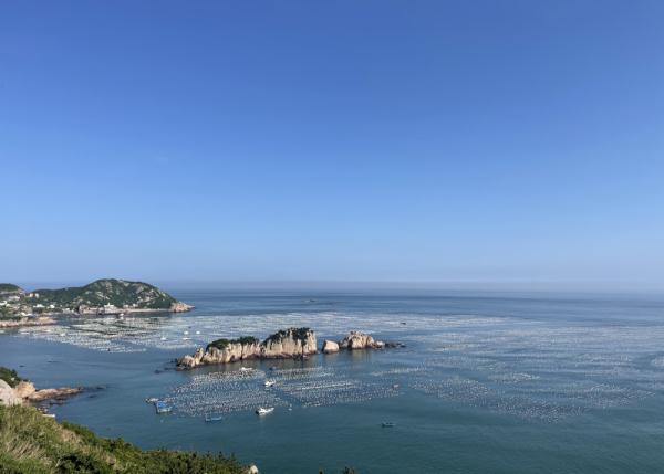 浙江舟山:渔业发展有了“数字引擎” 浙江舟山:渔业发展有了“数字引擎”