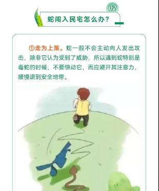 蓝朋友上演蛇口夺鸡! 蓝朋友上演蛇口夺鸡!