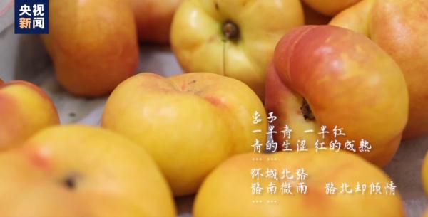 为自己卖的水果写了300多首诗！绍兴这家水果店的老板火了