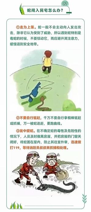 蓝朋友上演蛇口夺鸡! 蓝朋友上演蛇口夺鸡!