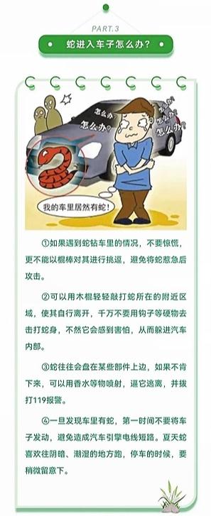 蓝朋友上演蛇口夺鸡! 蓝朋友上演蛇口夺鸡!