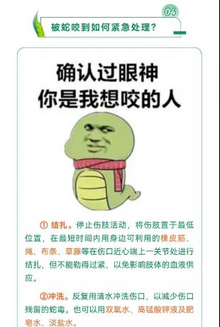 蓝朋友上演蛇口夺鸡! 蓝朋友上演蛇口夺鸡!