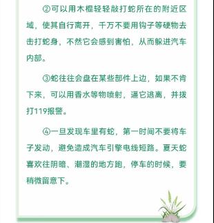 蓝朋友上演蛇口夺鸡! 蓝朋友上演蛇口夺鸡!