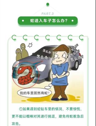 蓝朋友上演蛇口夺鸡! 蓝朋友上演蛇口夺鸡!