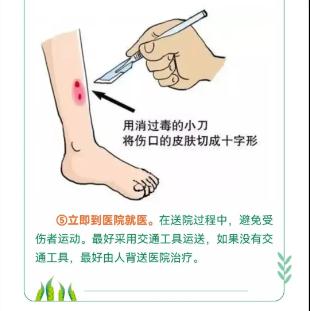 蓝朋友上演蛇口夺鸡! 蓝朋友上演蛇口夺鸡!