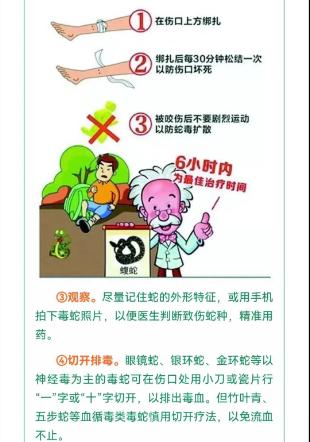 蓝朋友上演蛇口夺鸡! 蓝朋友上演蛇口夺鸡!