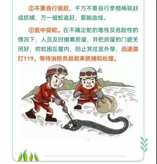 蓝朋友上演蛇口夺鸡! 蓝朋友上演蛇口夺鸡!