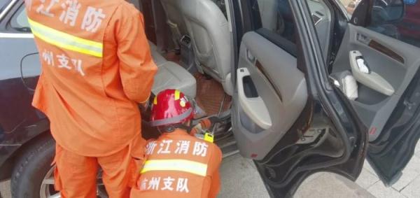 近两米长！副驾传来异响，男子一摸吓掉魂，最近“无孔不入”