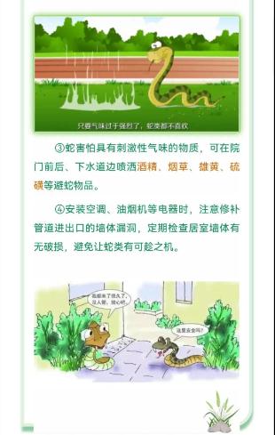 蓝朋友上演蛇口夺鸡! 蓝朋友上演蛇口夺鸡!