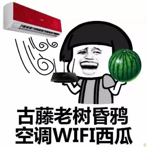 这么热的天，说句人麻了，不过份吧……