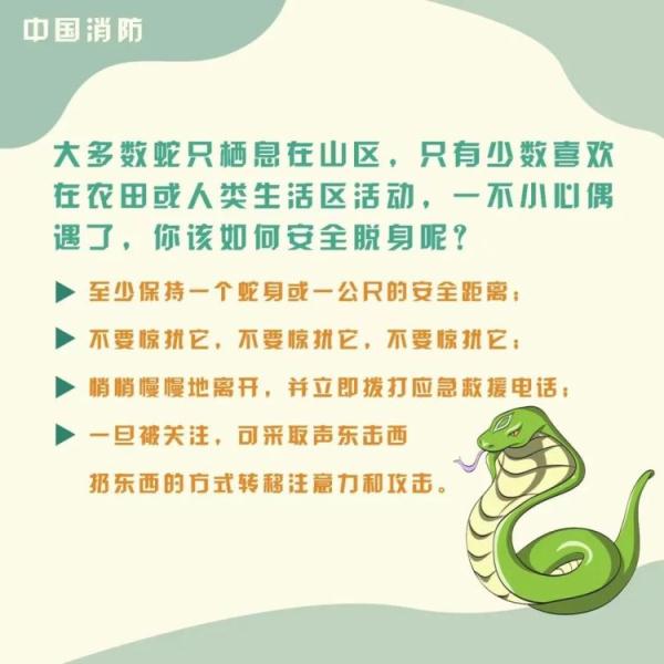吓人！一条蛇钻进车主电动车头，消防只能把车“扒光”