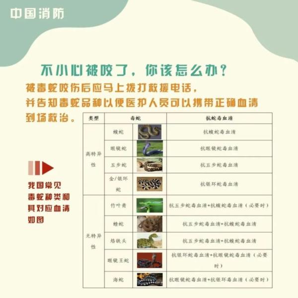 吓人！一条蛇钻进车主电动车头，消防只能把车“扒光”