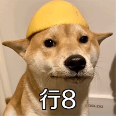 有人专门开豪车搭讪你？是街头骗术！已有人中招！