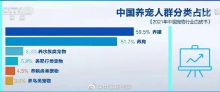 宠物行业白皮书：我国养猫人群数超过养狗人群数