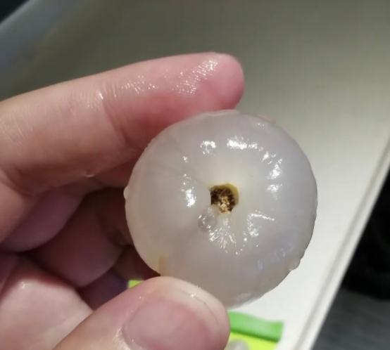 “原来我一直在吃荔枝虫子?”健康专家:不用担心