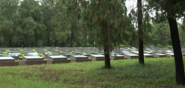 英烈不朽！59名淮海战役牺牲烈士集中迁葬入陵