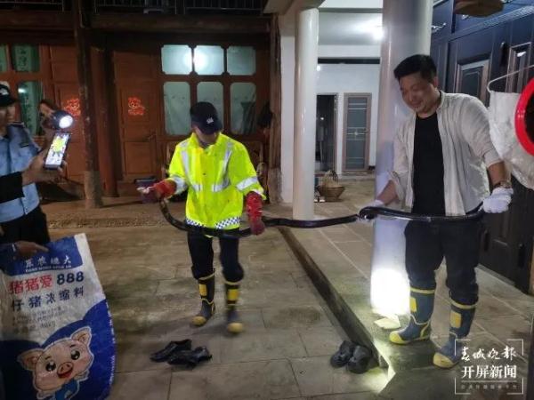 太吓人！3米多长眼镜王蛇窜入腾冲一居民家中......