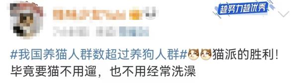 我国养猫人群数超过养狗人群,网友:猫派大胜利! 我国养猫人群数超过养狗人群,网友:猫派大胜利!