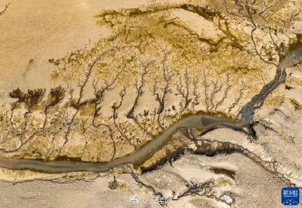 鬼斧神工!黄河河床每一张照片都是沙画 鬼斧神工!黄河河床每一张照片都是沙画