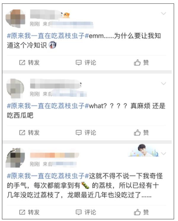 吃荔枝时也在吃虫子？