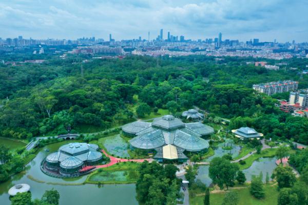 华南国家植物园正式揭牌！打卡攻略来了→