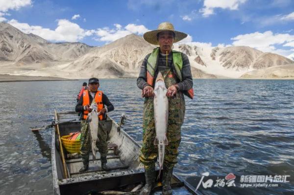 新疆沙漠腹地养出的螃蟹,你尝过没? 新疆沙漠腹地养出的螃蟹,你尝过没?
