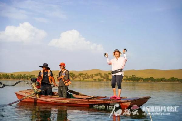 新疆沙漠腹地养出的螃蟹,你尝过没? 新疆沙漠腹地养出的螃蟹,你尝过没?