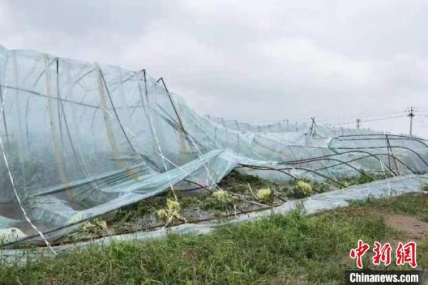 山西寿阳遇冰雹极端天气 3个乡镇18个村受灾