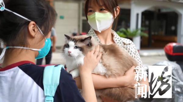 上海中考首日，家长“花式”送考！有人甚至带上了萌宠猫咪…