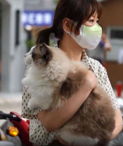 上海中考首日，家长“花式”送考！有人甚至带上了萌宠猫咪…