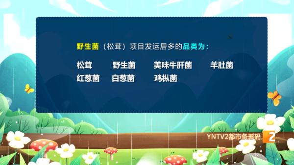 网购野生菌！这波操作最重要……