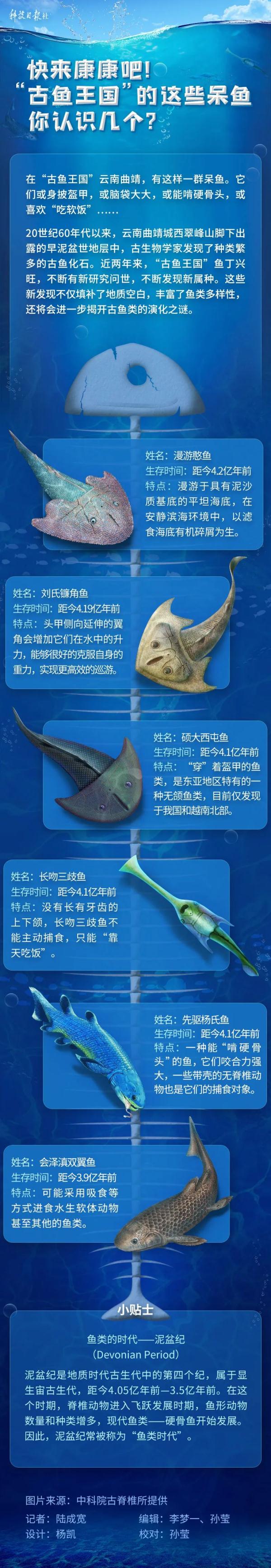呆鱼表情包上新！它靠这个在生物灭绝事件中活下来了
