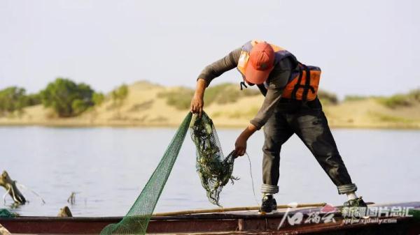 新疆沙漠腹地养出的螃蟹,你尝过没? 新疆沙漠腹地养出的螃蟹,你尝过没?