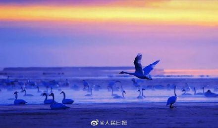 摄影师27年拍近20万张生态环保照片 摄影师27年拍近20万张生态环保照片