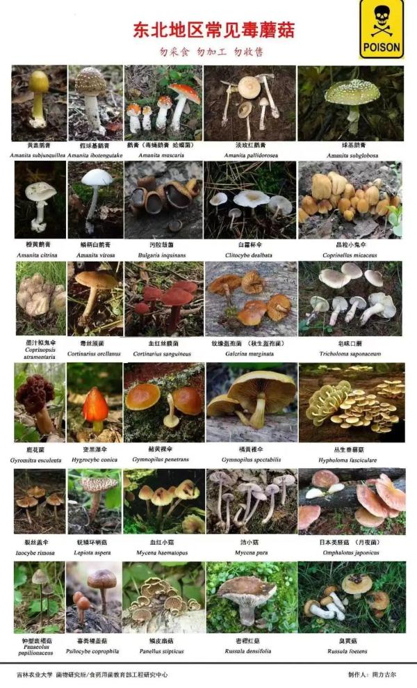 黑龙江省疾控中心最新提示！