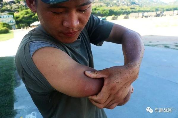 野外驻训,8个安全防范秘籍拿走不谢! 野外驻训,8个安全防范秘籍拿走不谢!