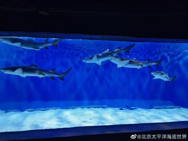 带上准考证！中、高考生到北京这些景区门票减免→