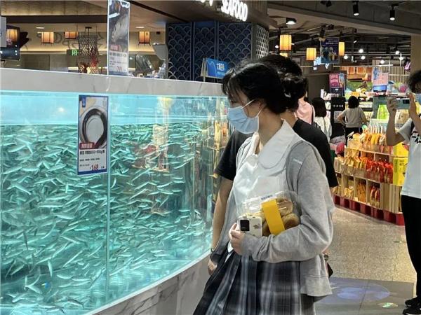 799元/公斤！云南特有的这种鱼重返餐桌，你想尝尝吗