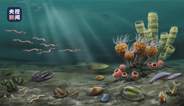 南京地质古生物研究所最新发现 南京地质古生物研究所最新发现
